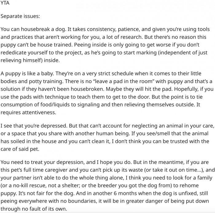 Woman Blames Depression For Not Cleaning Up After Her Dog