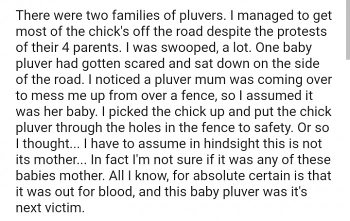 The OP noticed a pluver mum was coming over to mess her up from over a fence