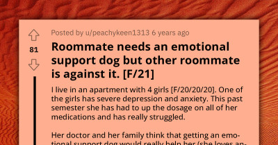 Quarrel Looms As Woman Refuses For Her Roommate With Severe Anxiety And Depression To Get Emotional Support Dog