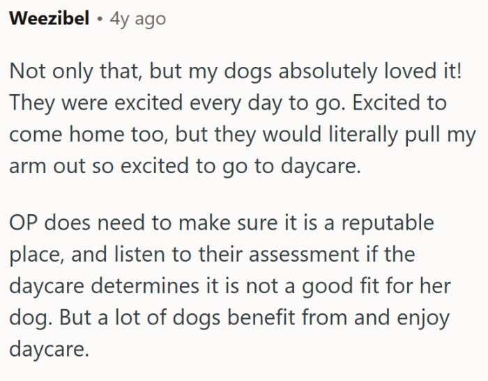 Dogs tend to love it