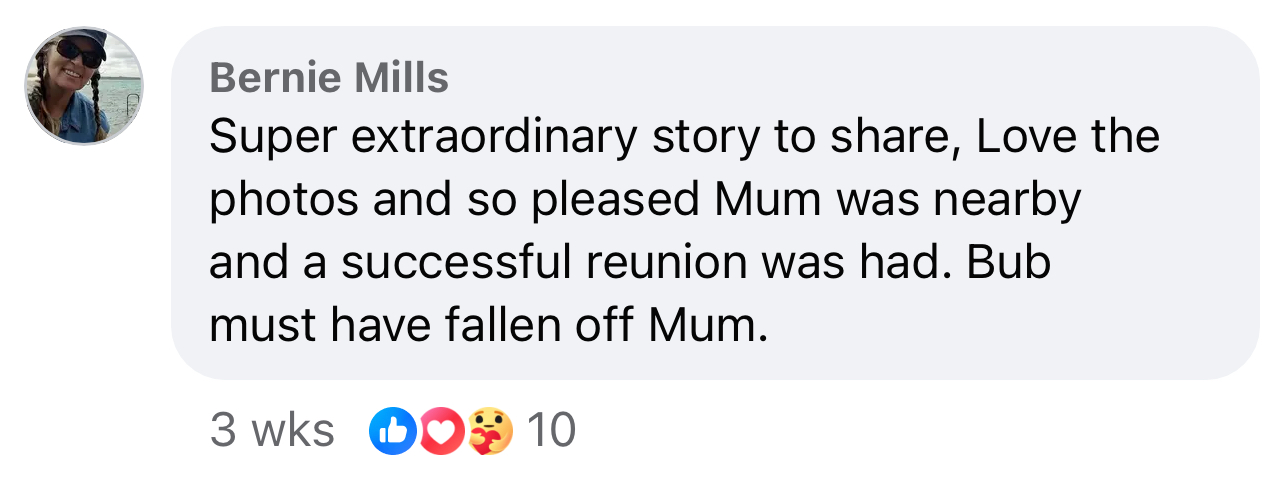 These are the kind of stories we love to see