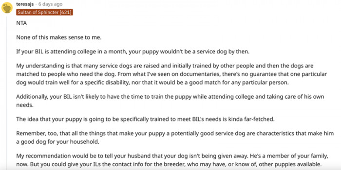 All the things that make your puppy a potentially good service dog