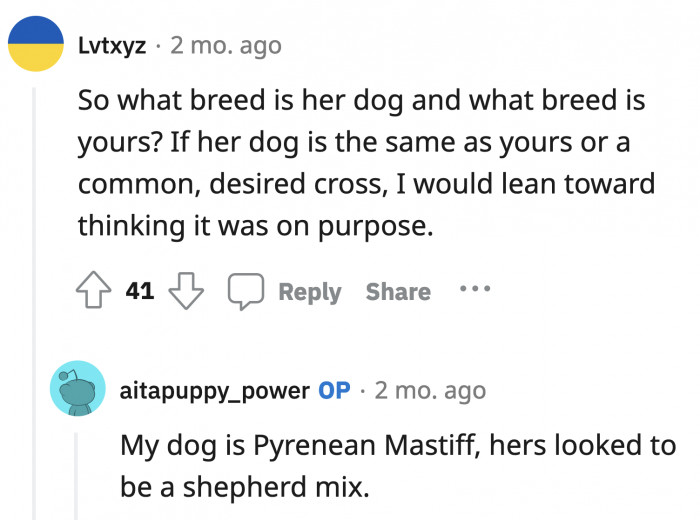 A quick Google search shows that OP's dog is a beauty