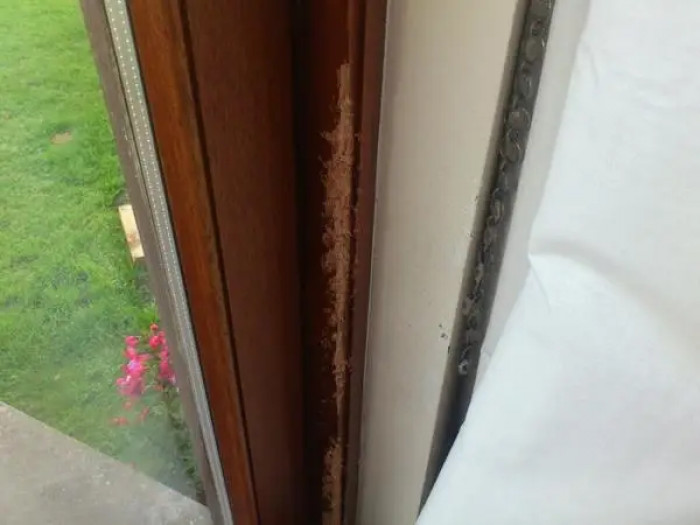 15. Such as the walls.