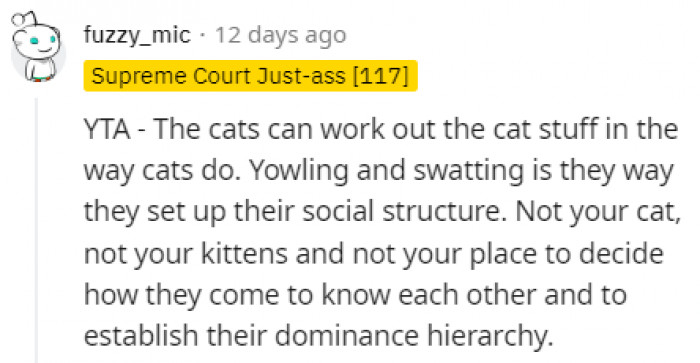 Cats can handle themselves.