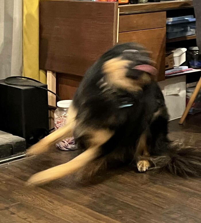 43. Avantgarde photo.