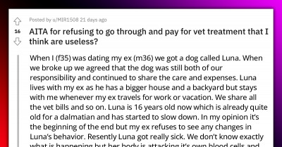 Woman Refuses To Pay For Treatment That Could Extend Her Dog's Life By Months