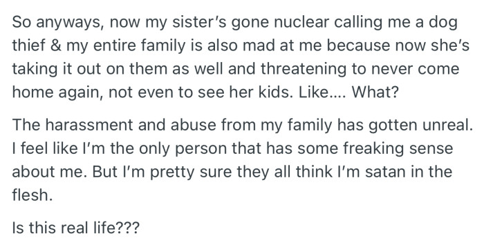 At the moment, OP’s sister and the entire family have been harassing and abusing her for rehoming the dog