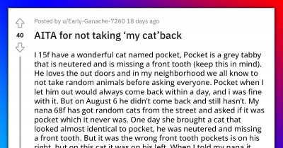 Conspiracy Theorists On Reddit Go Wild After One Teen Posted About Her Grandma Trying To Pass A Random Cat As The One The Teen Lost