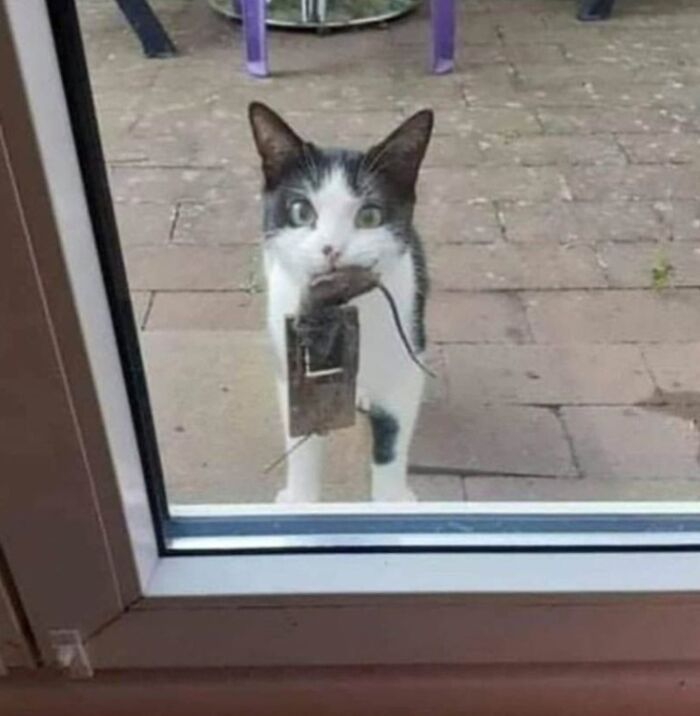 Think smart. Work smart.