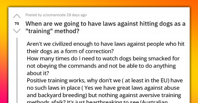 Redditor Vents About The Absence Of Laws Against Hitting Dogs As A "Training" Method, Amazing Responses Follow