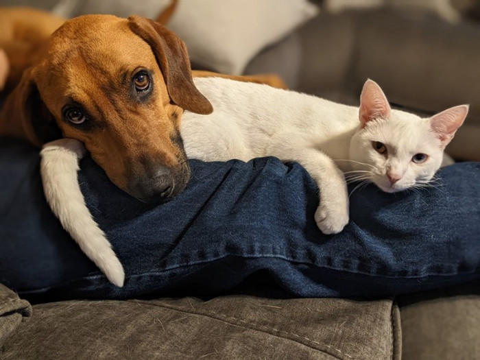 9. Persistence is key.