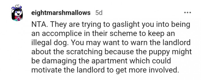 The Puppy Might Be Damaging the Apartment