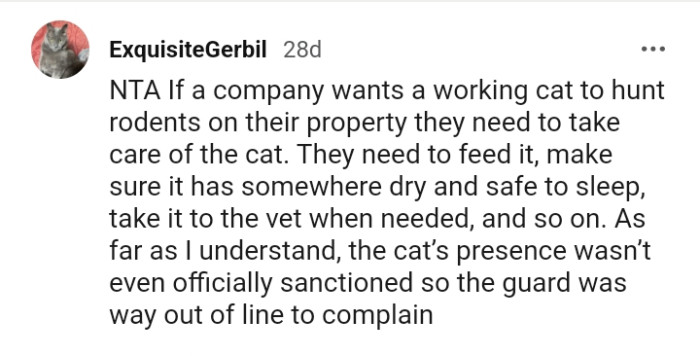 The cat needs to have somewhere dry and safe to sleep