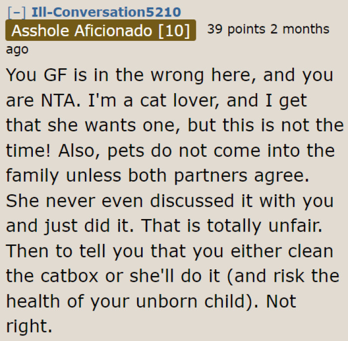 A couple should only adopt a cat if both of them agree.