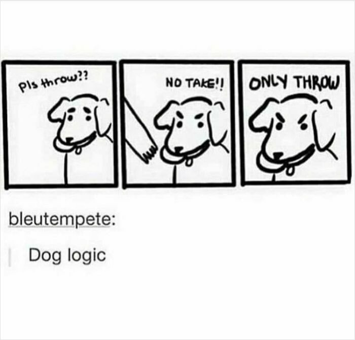 1. The literal dog logic