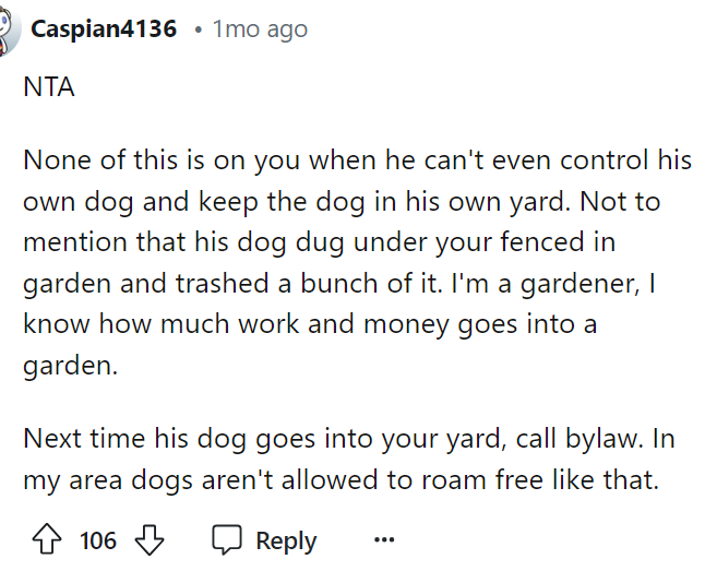 It's not like you put some poisonous plant in your backyard to lure the dog to eat it. None of this was malicious.