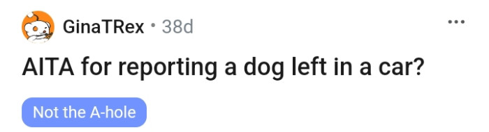 Is this Redditor the AH for reporting a dog locked up in a car?