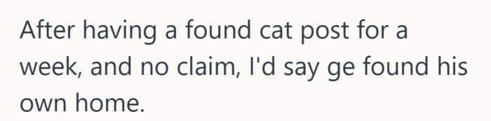 Gentle shrug that suggests fate stepped in. No claim, no problem, just a cat settling where he feels safe.