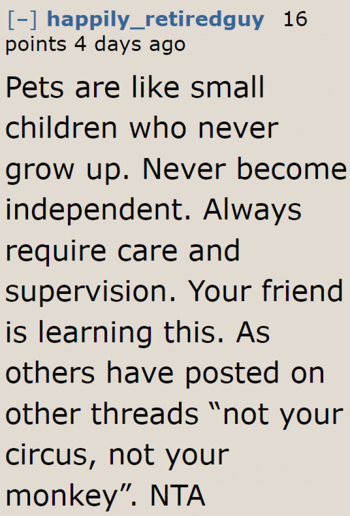 Pet dogs can never have independence. They will always need their humans.