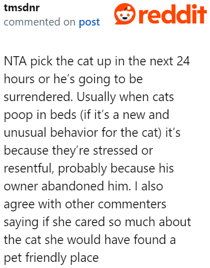 A Redditor explains the reason behind the cat's bed-pooping behavior.