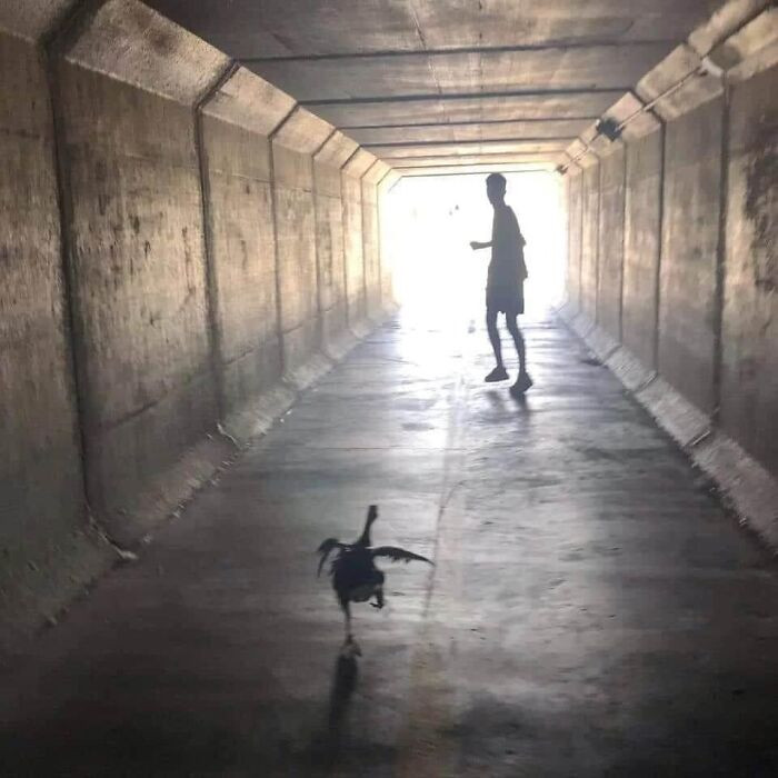 22. Run towards the light.