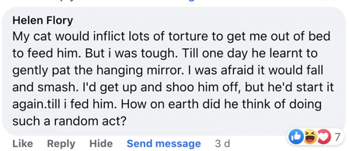 4. The best way to get your hooman out of bed