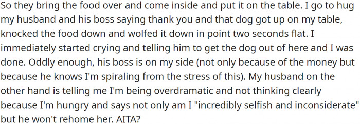 Her husband’s boss brought over food, but the dog grabbed it first. Now OP wants it out of the house