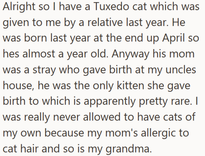 After convincing their allergy-prone mother to accept a Tuxedo kitten—born to a stray cat and handed over at just three months old—things were going relatively smoothly for most of the year.