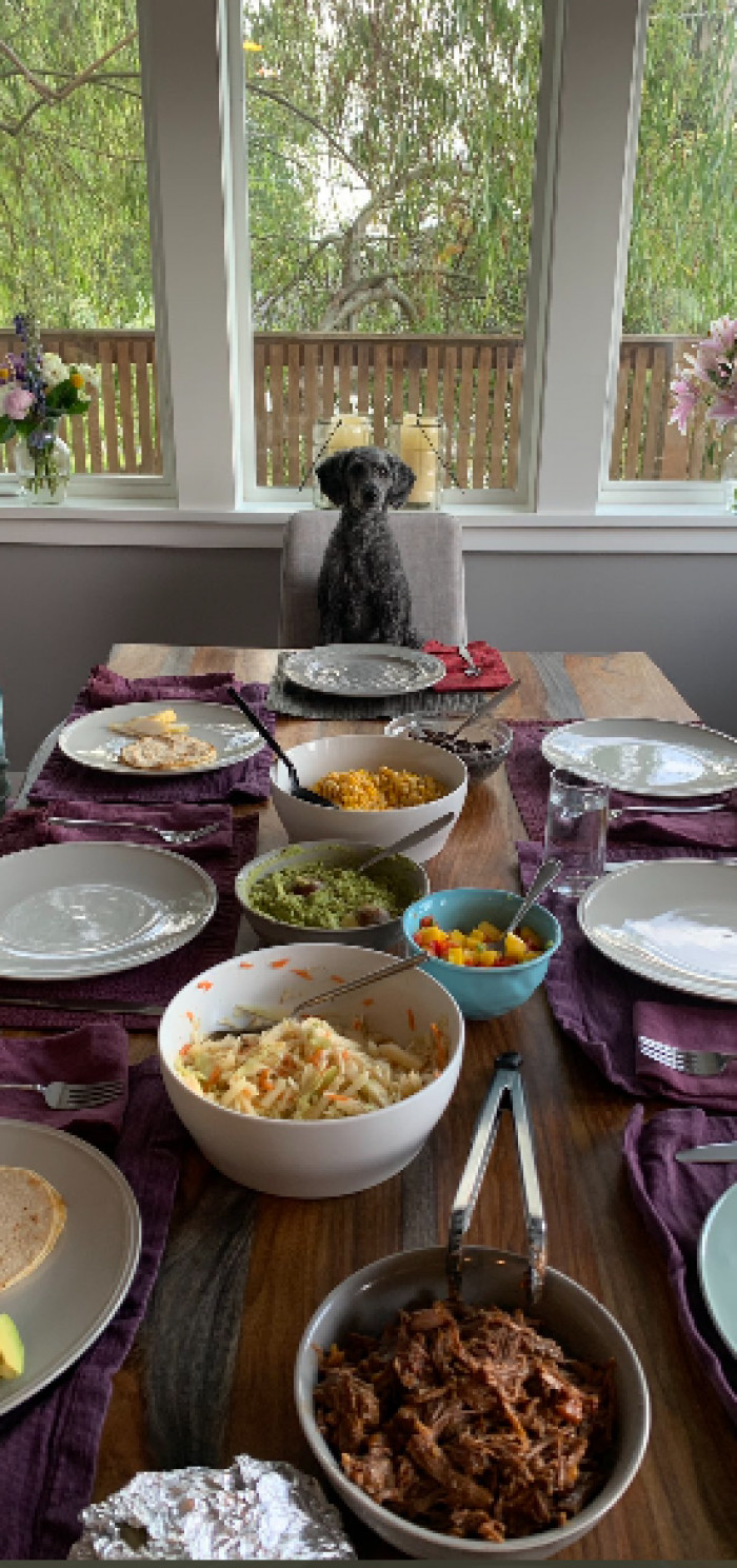 2. "My dog does this every time we set the table, and I cannot stress enough how much I respect her optimism."