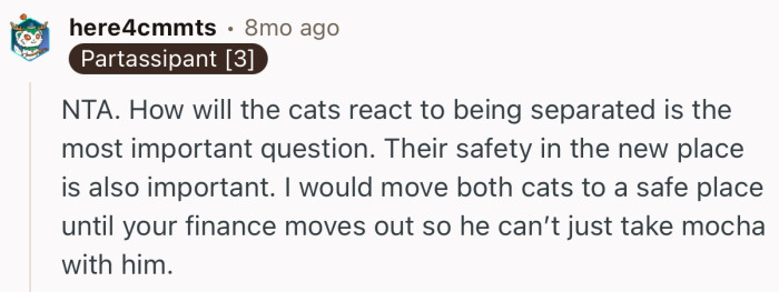 “I would move both cats to a safe place until your finance moves out so he can’t just take mocha with him.”