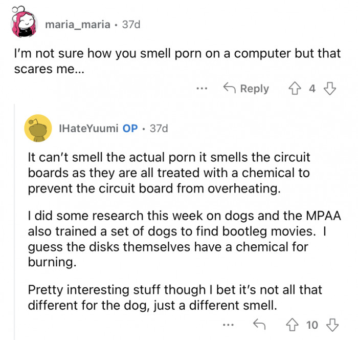 Nope, the dogs can't smell porn.