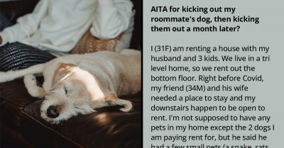 Woman Kicks Out Her Friend And His Dogs After He Refuses To Take Care Of The Dogs Properly