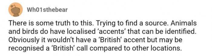 But as it turns out, OP wasn't completely off base