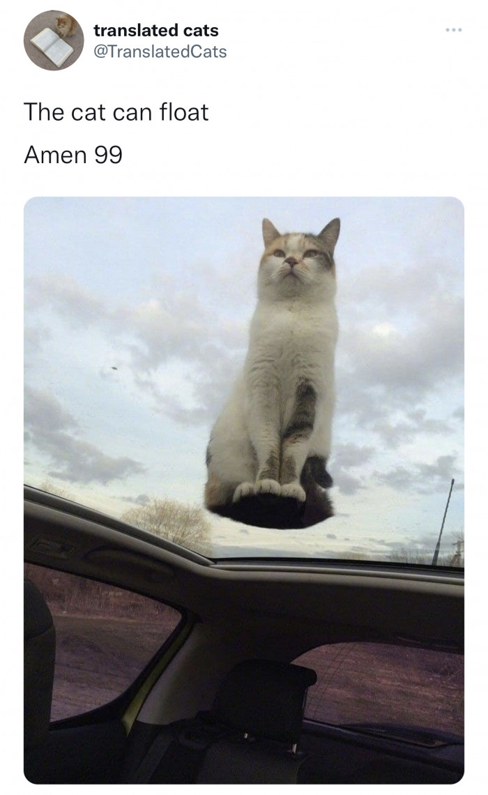 17. He pops by to bless your car, then disappears forever.