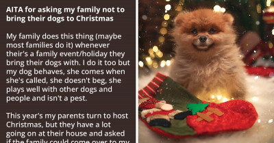 Reddit Responds As Cousin's Fight Over 'No Dogs Allowed' Policy For Christmas