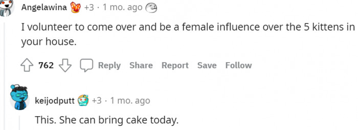 3. A female influencer for the five kittens