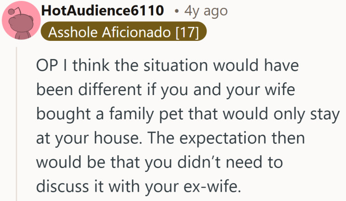 A family pet is simple. A pet with visitation rights is where things get complicated fast.