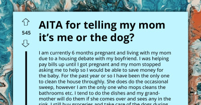 Pregnant Lady Gets Dragged Online For Trying To Make Mom Choose Between Her And Their Aged Dog