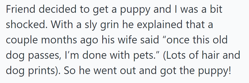 OP's friend surprised everyone with a puppy after his wife declared no more pets once their old dog passed.