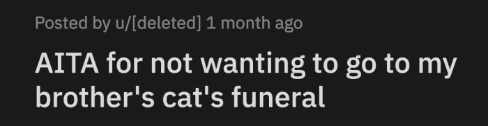 The jig was up. OP's brother called to question their made-up excuses.