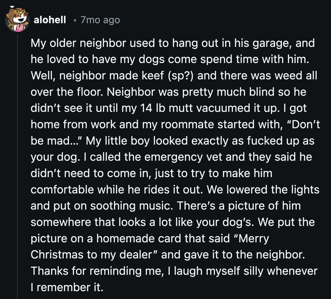 Be a good human and sit with your dog while they ride their high out.