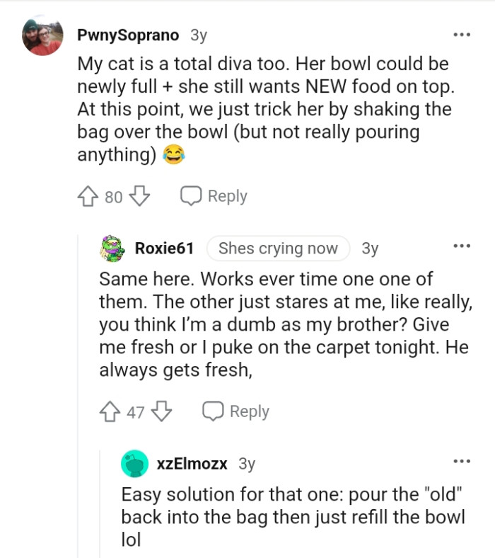 Tricking the cat by shaking the bag over the bowl