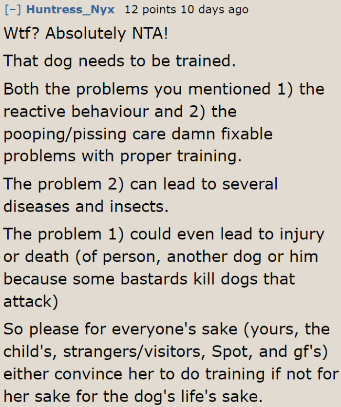 These behavioral problems are fixable with proper training.