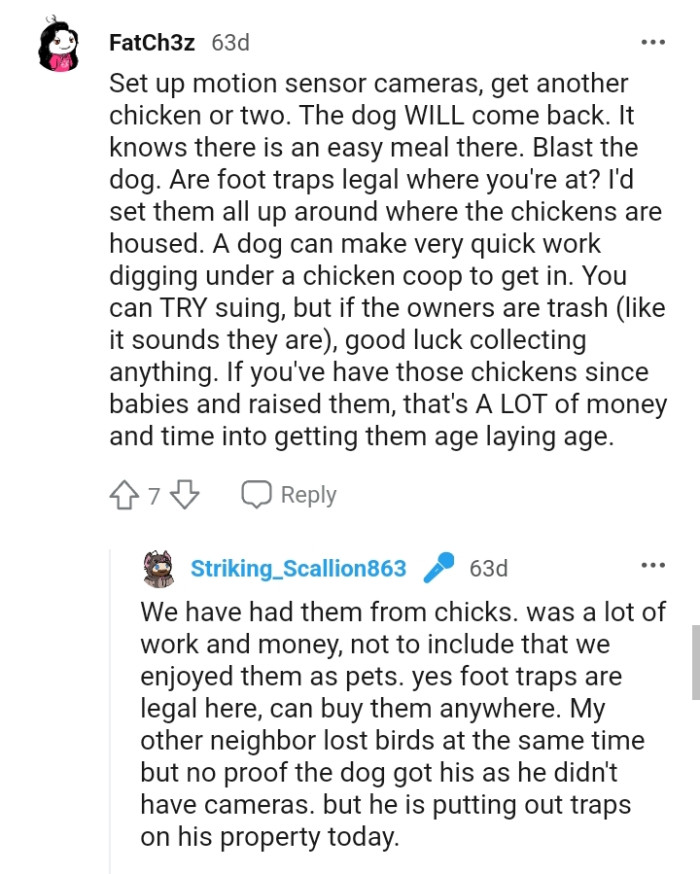 There's a lot of time and money invested in getting them into the egg-laying stage