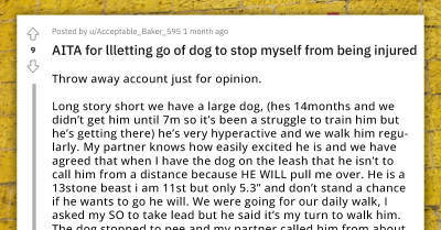 Redditor Lets Go Of Her Partner's Large Dog To Avoid Being Injured, Gets Accused Of Trying To Kill It