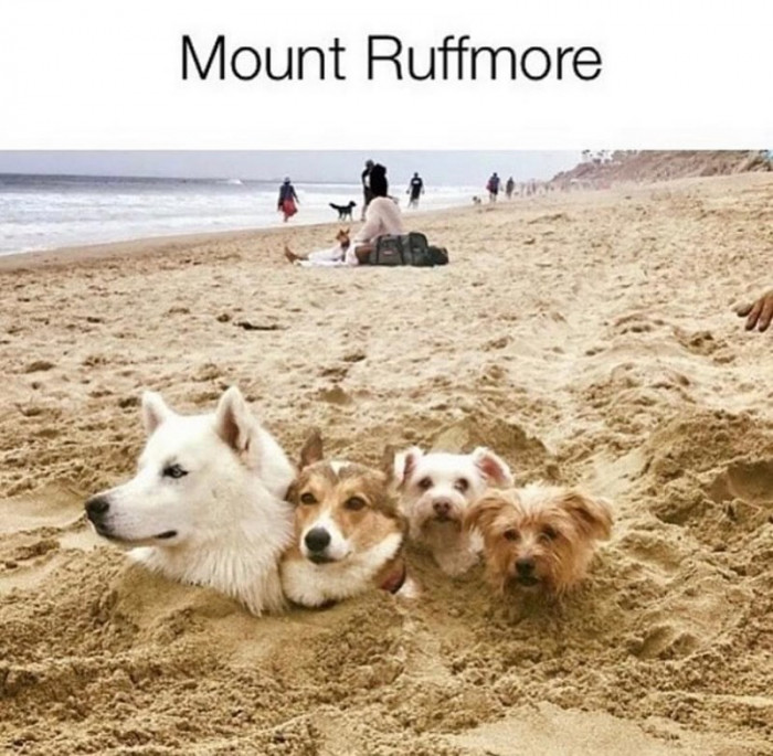 8. This is one Mount that I'd visit every day