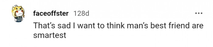 16. Man's best friend is indeed the smartest