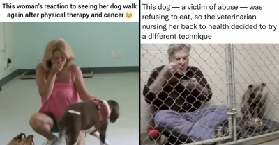 30 Uplifting And Wholesome Stories That Will Have You Feeling Great Despite Everything Going On