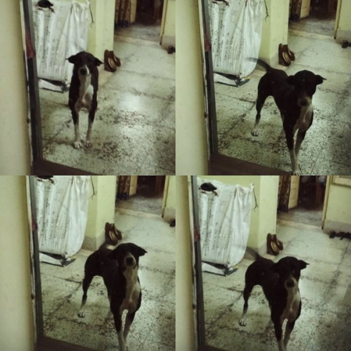 Inti's adorable antics